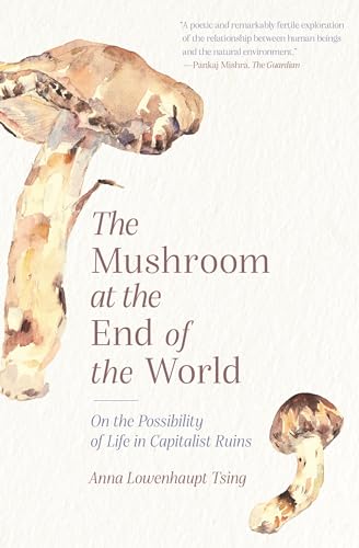The End of the World