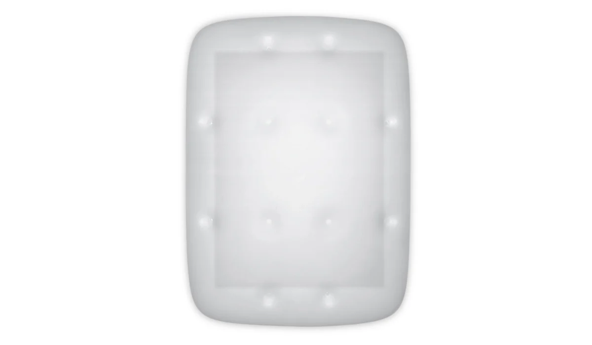 The Bible (Visionaire 28)