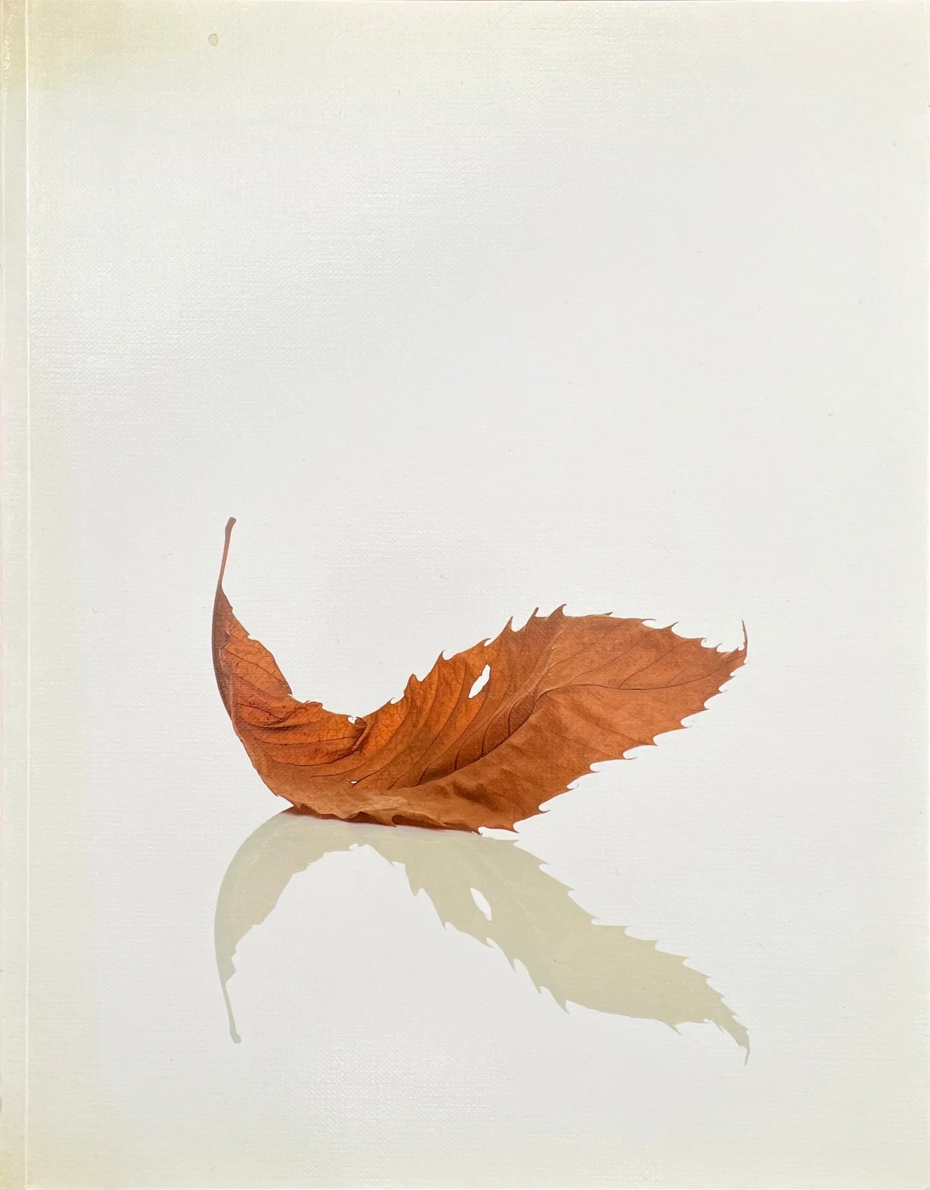 Peter Saville: Estate 1-127 [This publication arose from the exhibition 'Peter Saville Estate', at the Migros Museum für Gegenwartskunst Zürich 12th November, 2005 – 8th January, 2006]