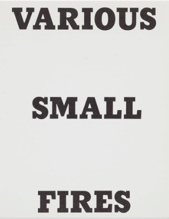 Various Small Fires and Milk