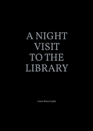 A Night Visit to the Library