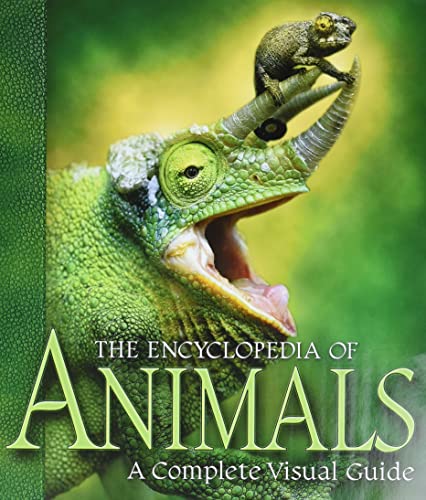Animals cover