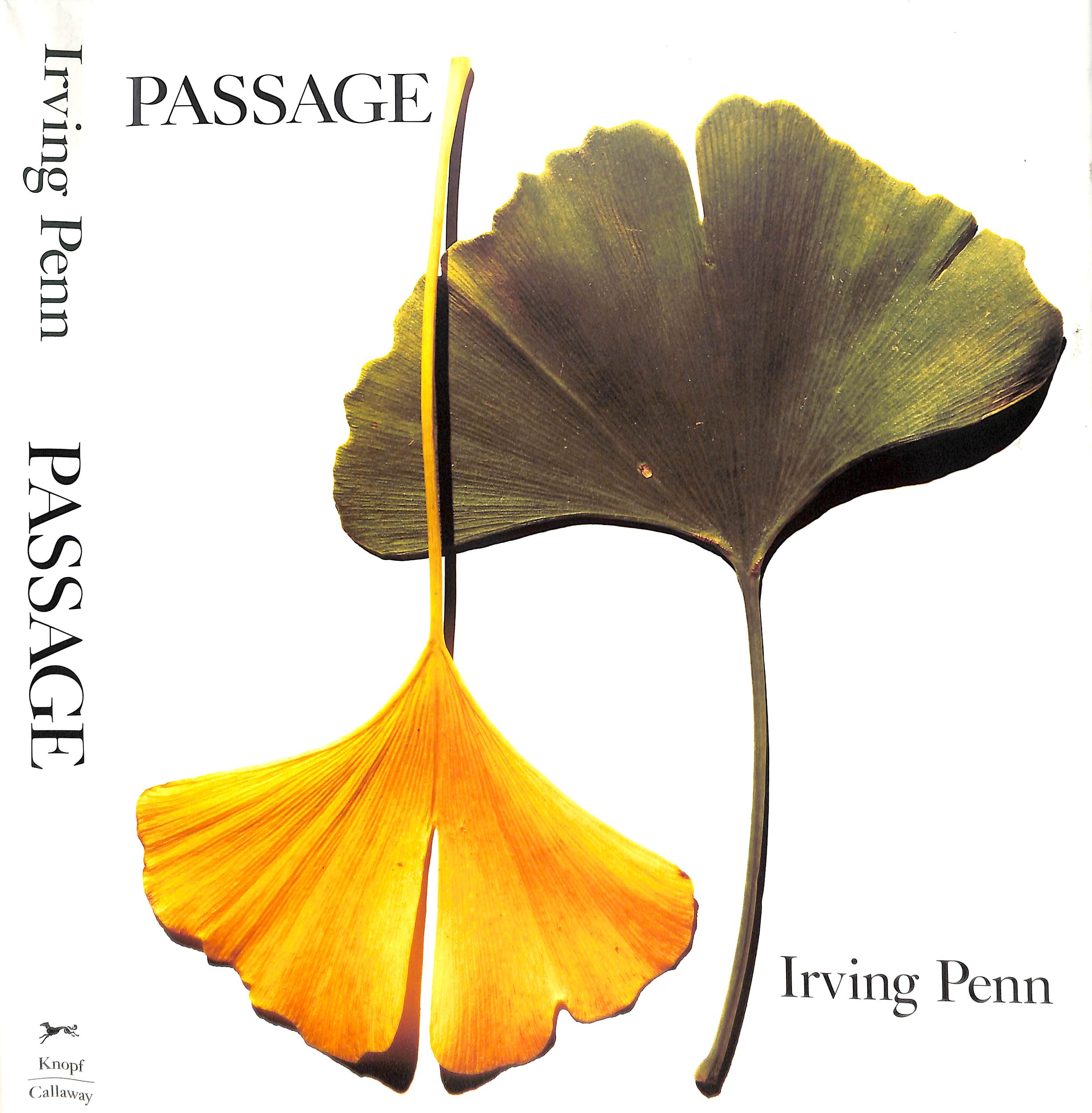 Irving Penn: Passage