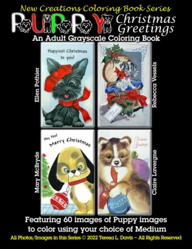 New Creations Coloring Book Series