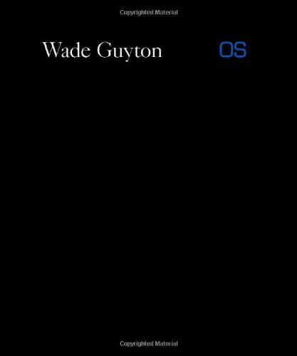Wade Guyton OS