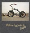 William Eggleston’s Guide cover