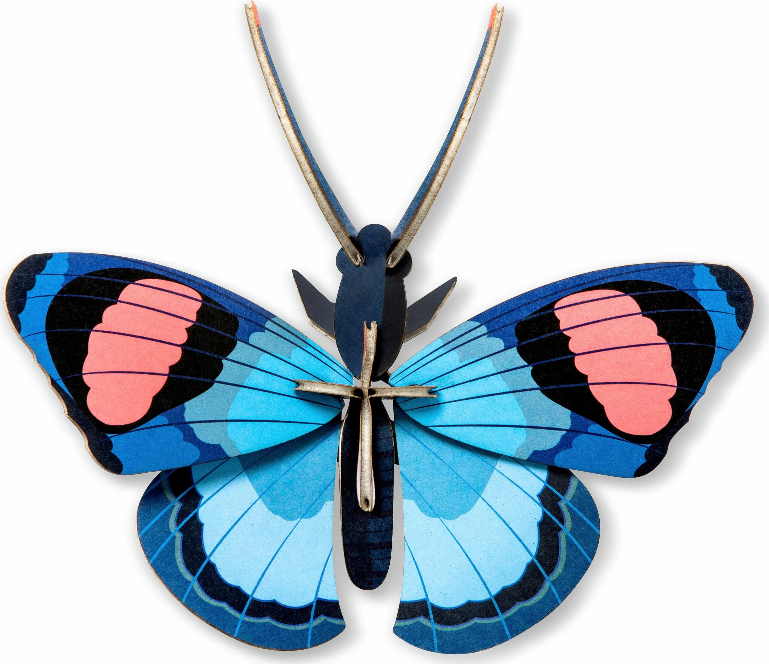 3D DIY Decorative Insects – Peacock Butterfly
