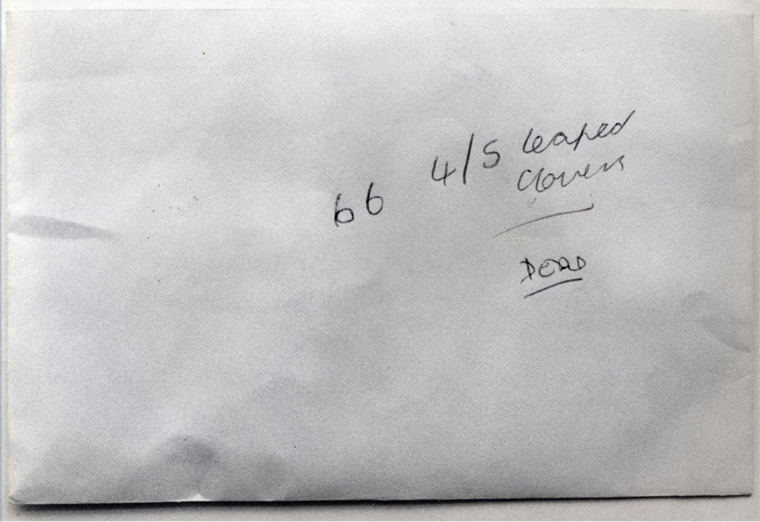 66 Dead 4/5 Leafed Clovers cover