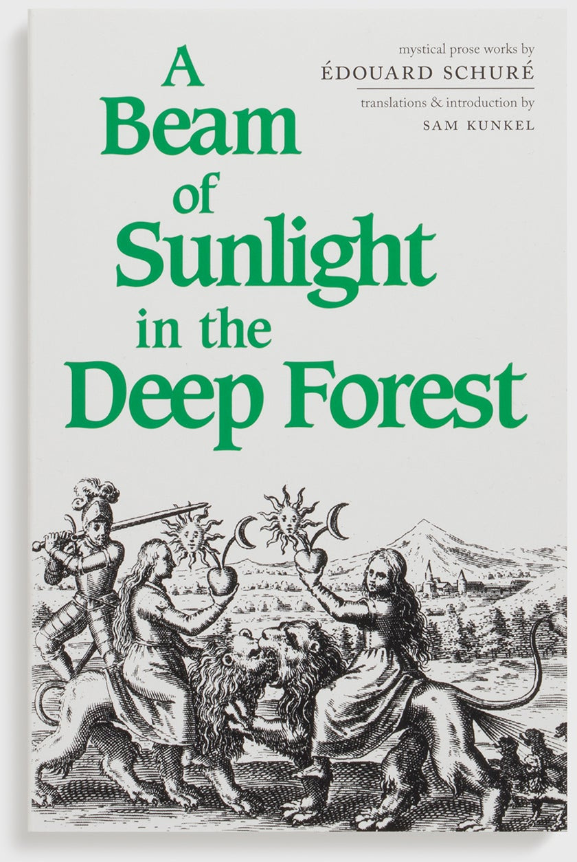 A Beam of Sunlight in the Deep Forest