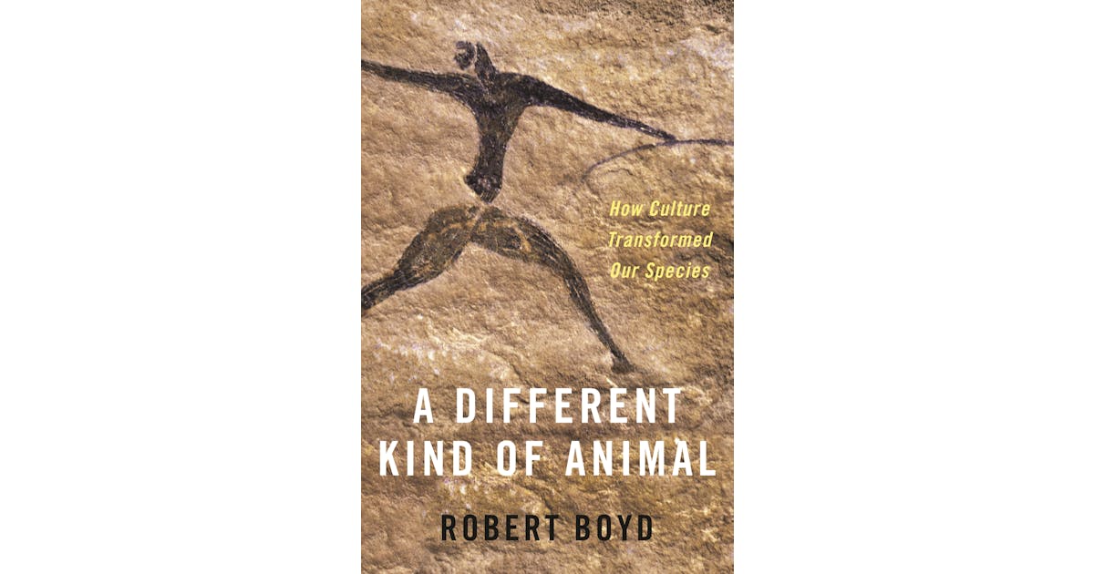 A Different Kind of Animal: How Culture Transformed Our Species cover