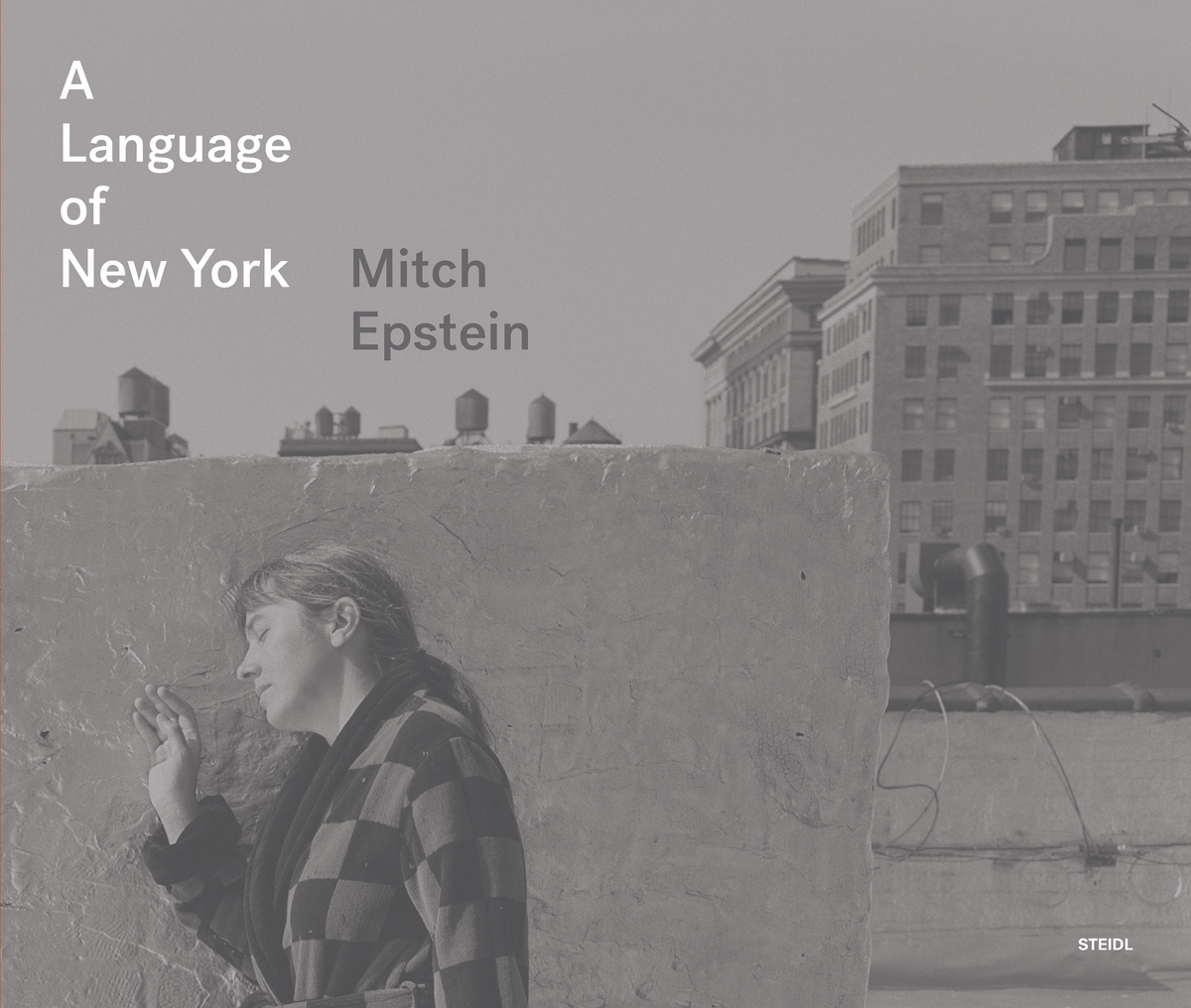 Mitch Epstein