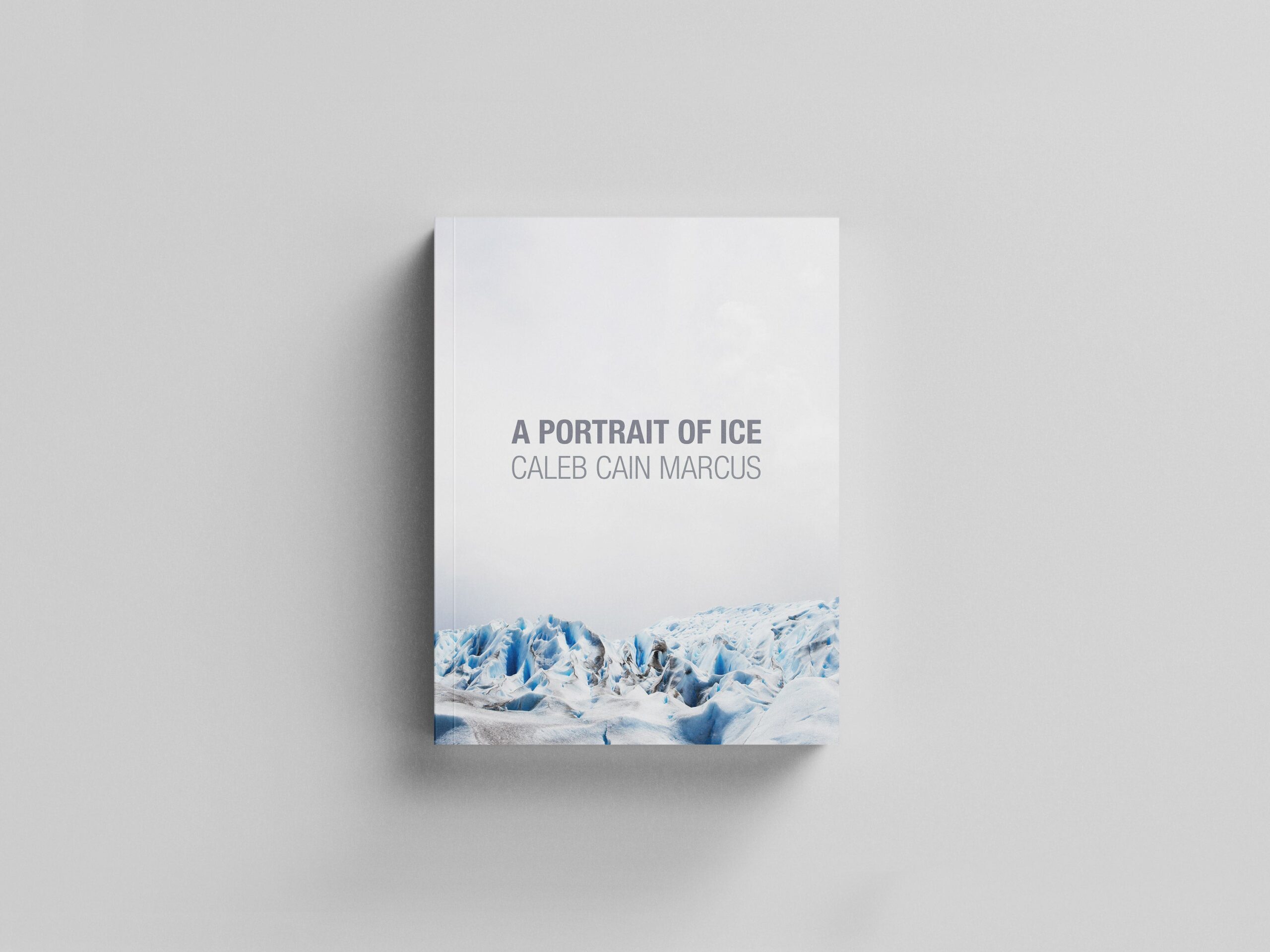 A Portrait of Ice cover