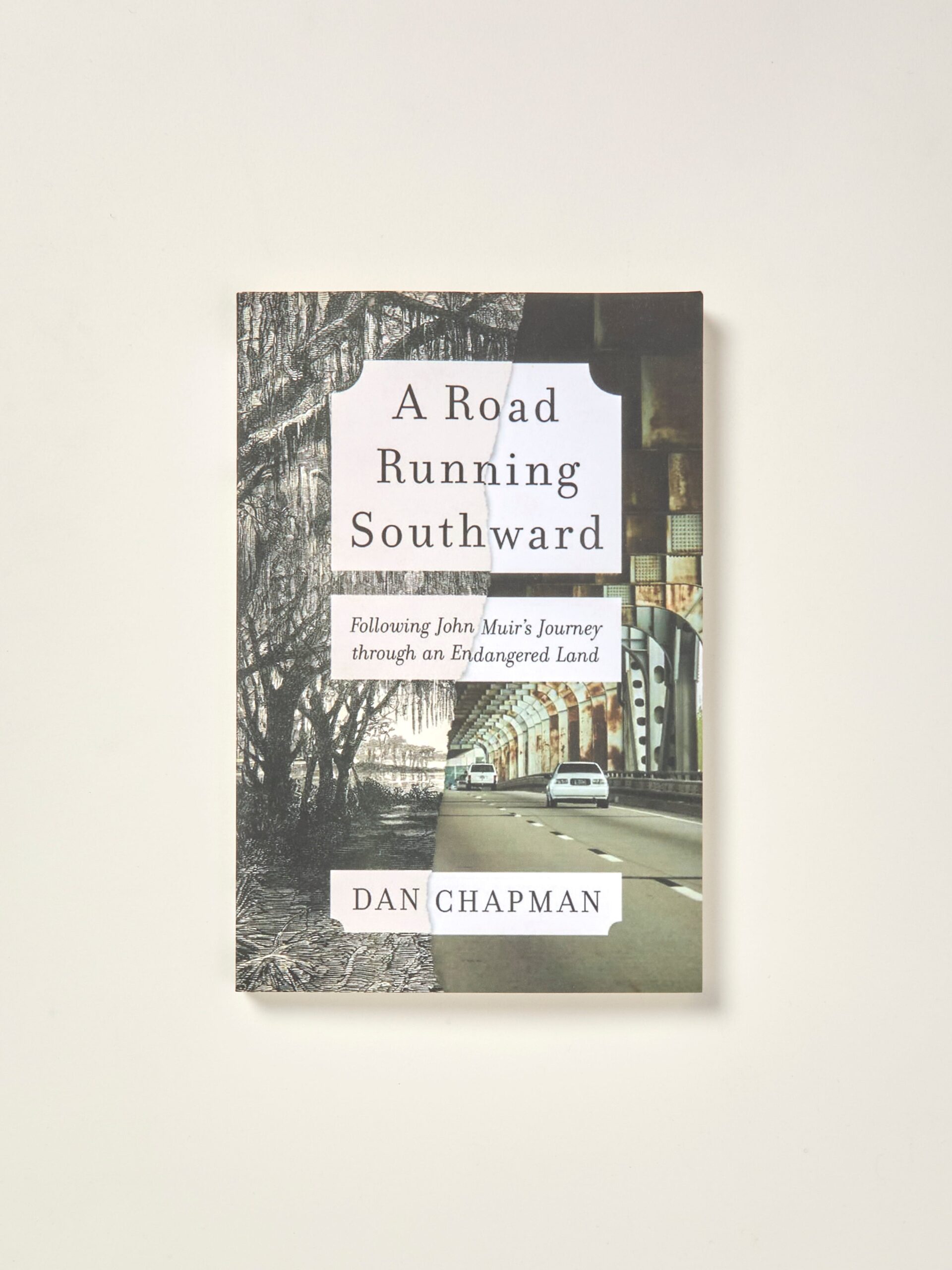 A Road Running Southward: Following John Muir’s Journey through an Endangered Land