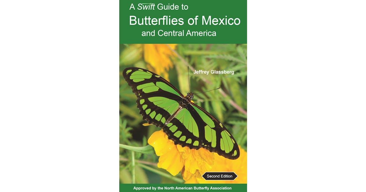 A Swift Guide to Butterflies of Mexico and Central America: Second Edition