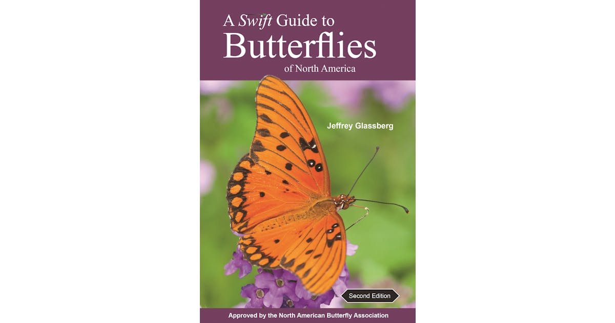 A Swift Guide to Butterflies of North America: Second Edition cover