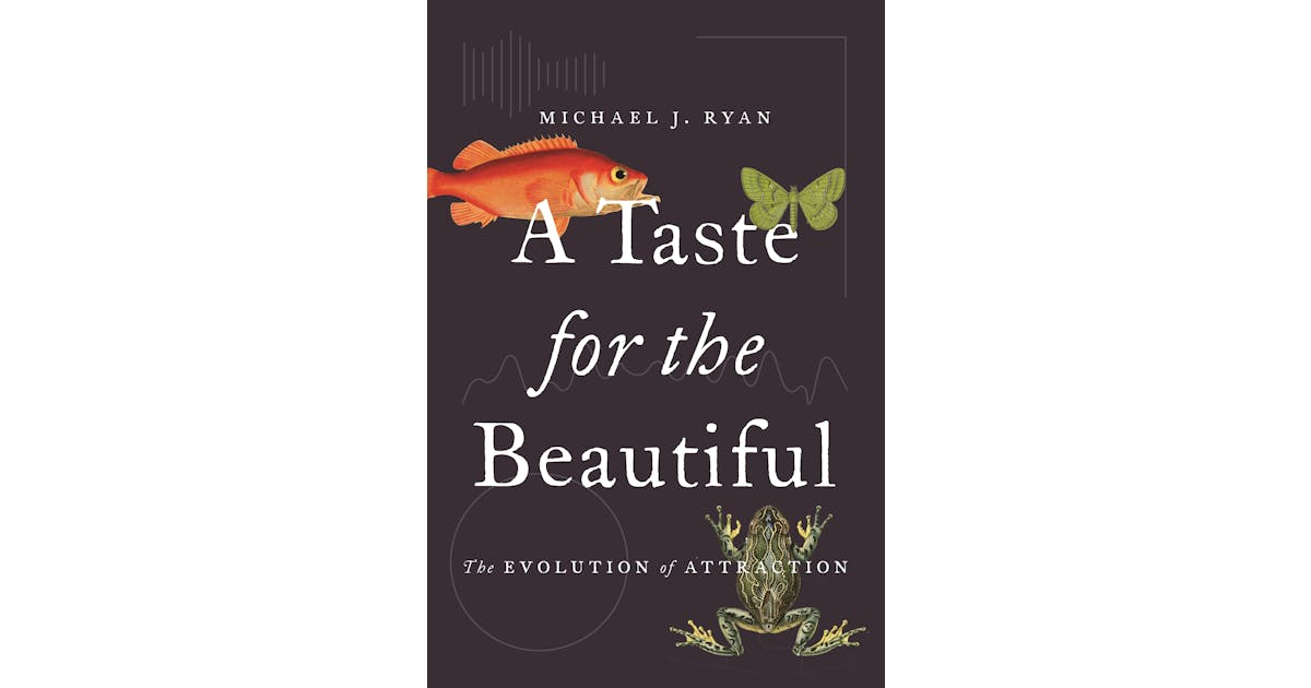 A Taste for the Beautiful: The Evolution of Attraction cover