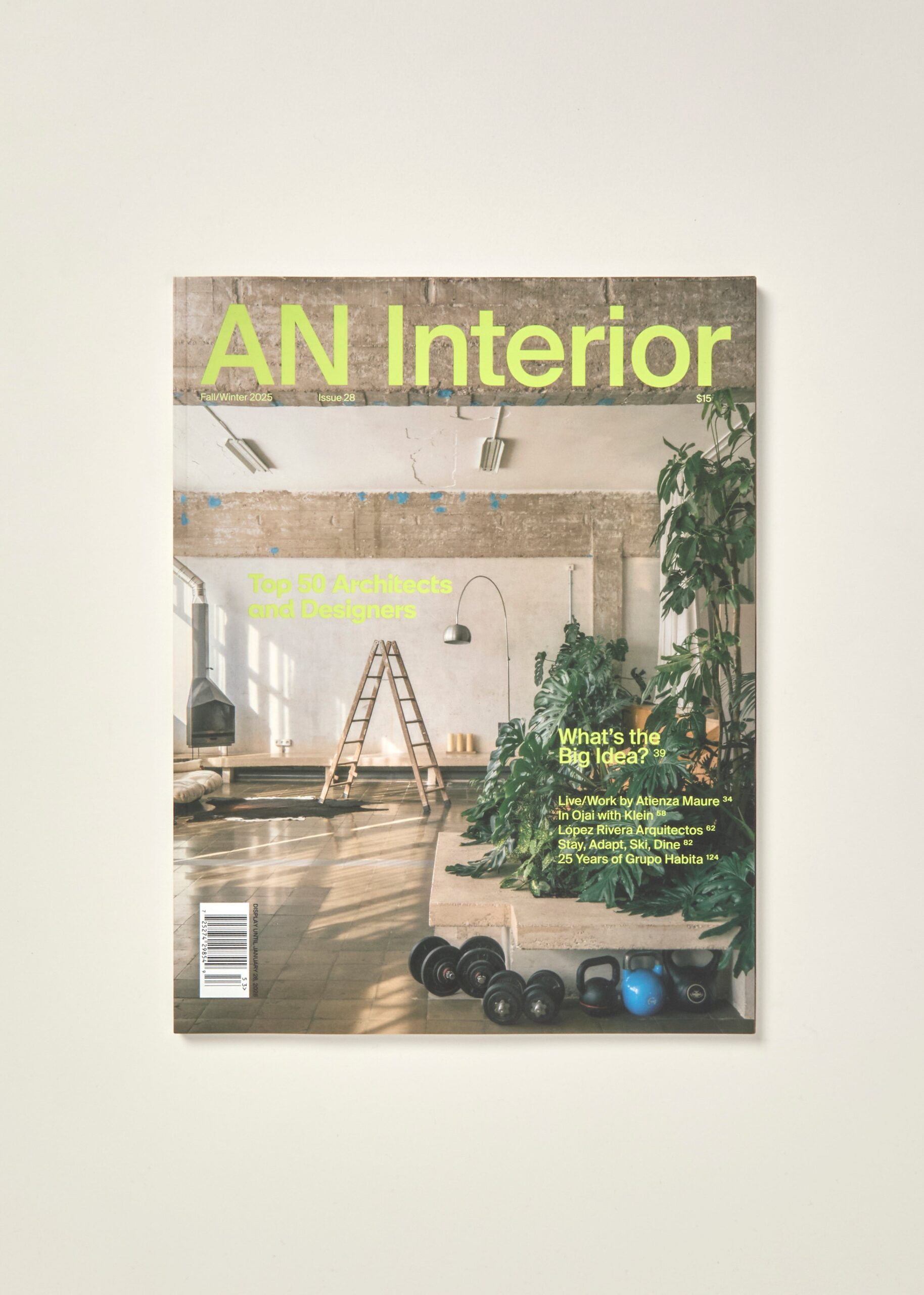 AN Interior: Top 50 Architects and Designers