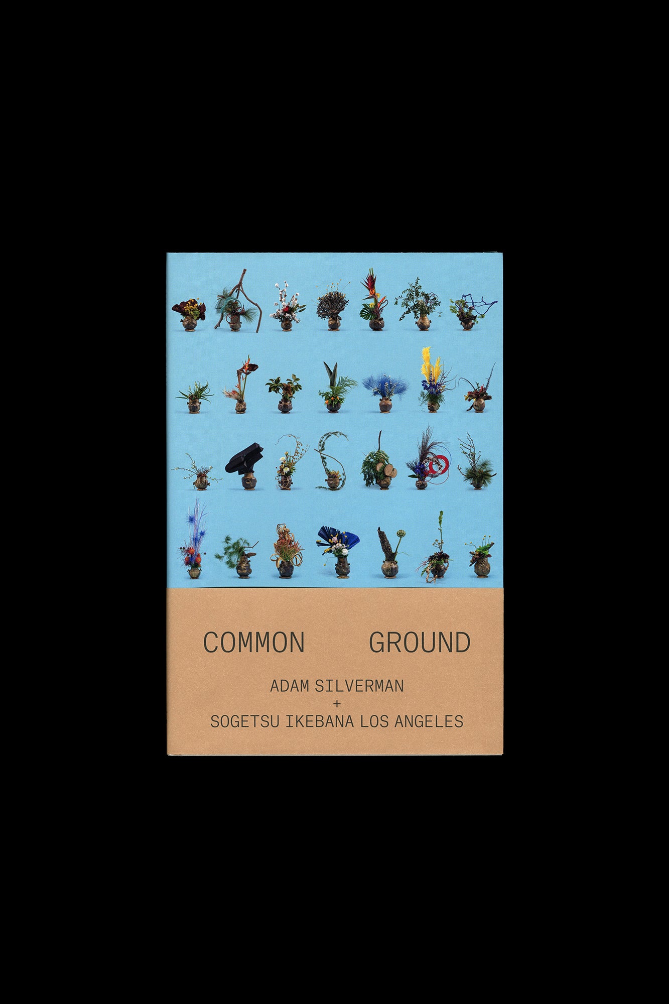 Adam Silverman: Common Ground