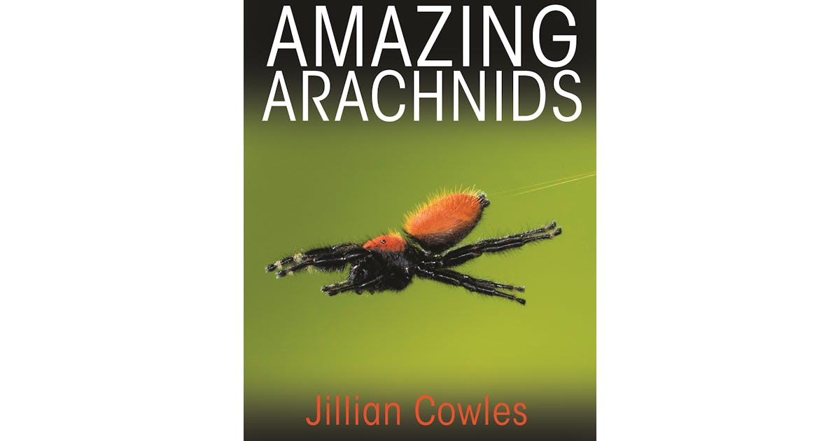 Amazing Arachnids cover