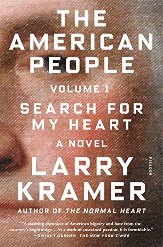 American People: Volume 1: Search for My Heart: A Novel cover