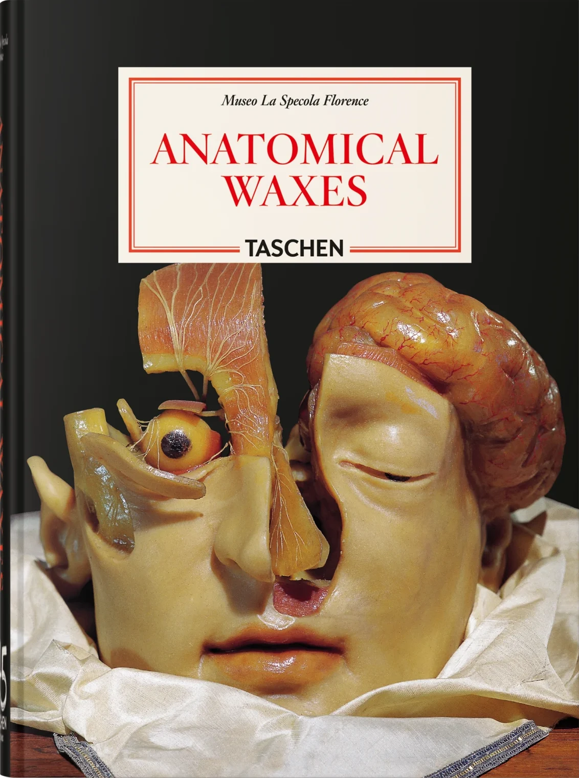 Anatomical Waxes