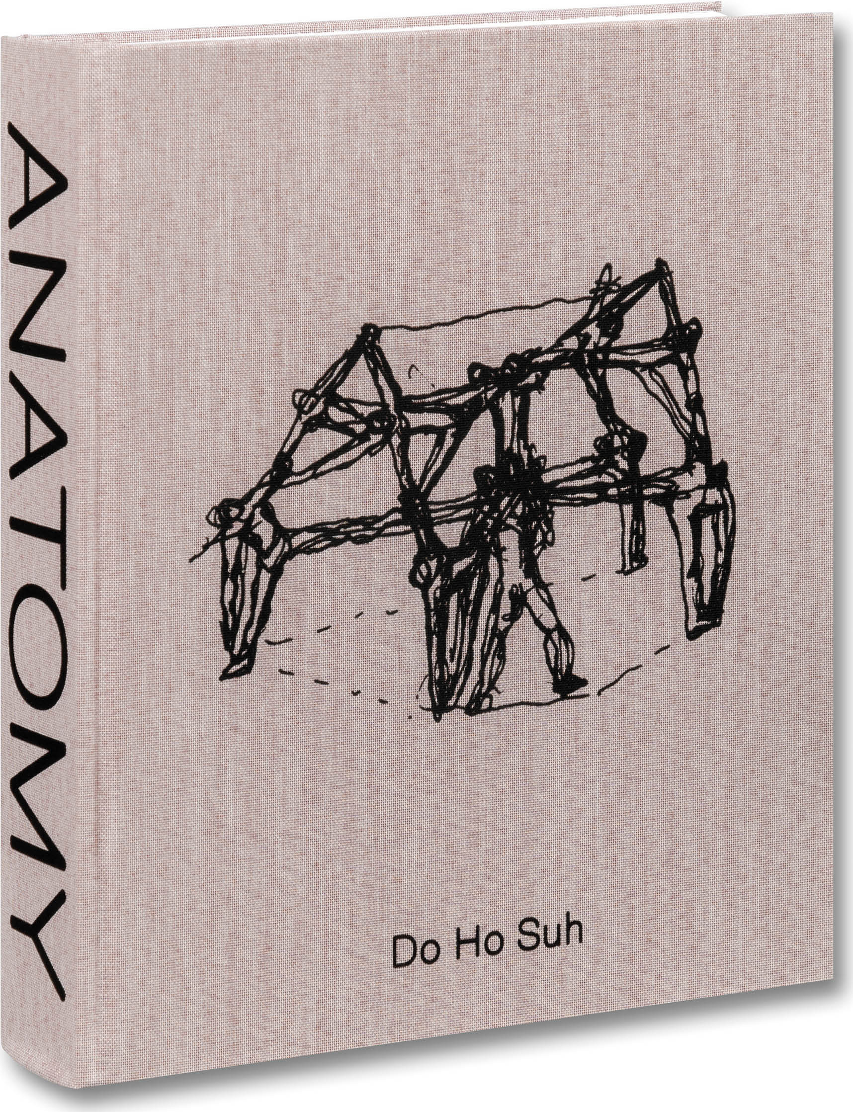 Anatomy cover