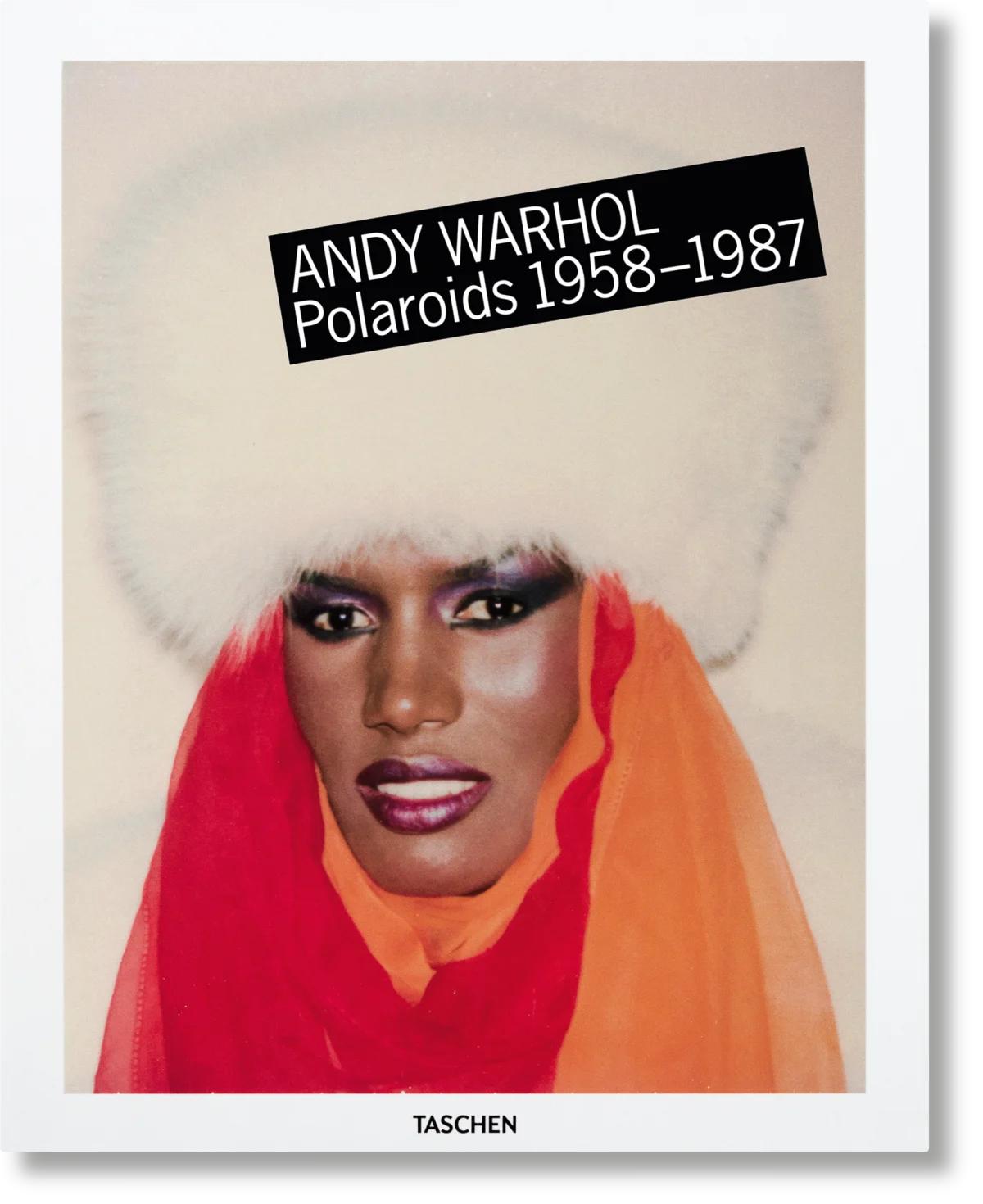 Andy Warhol. Polaroids cover