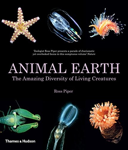 Animal Earth: The Amazing Diversity of Living Creatures cover