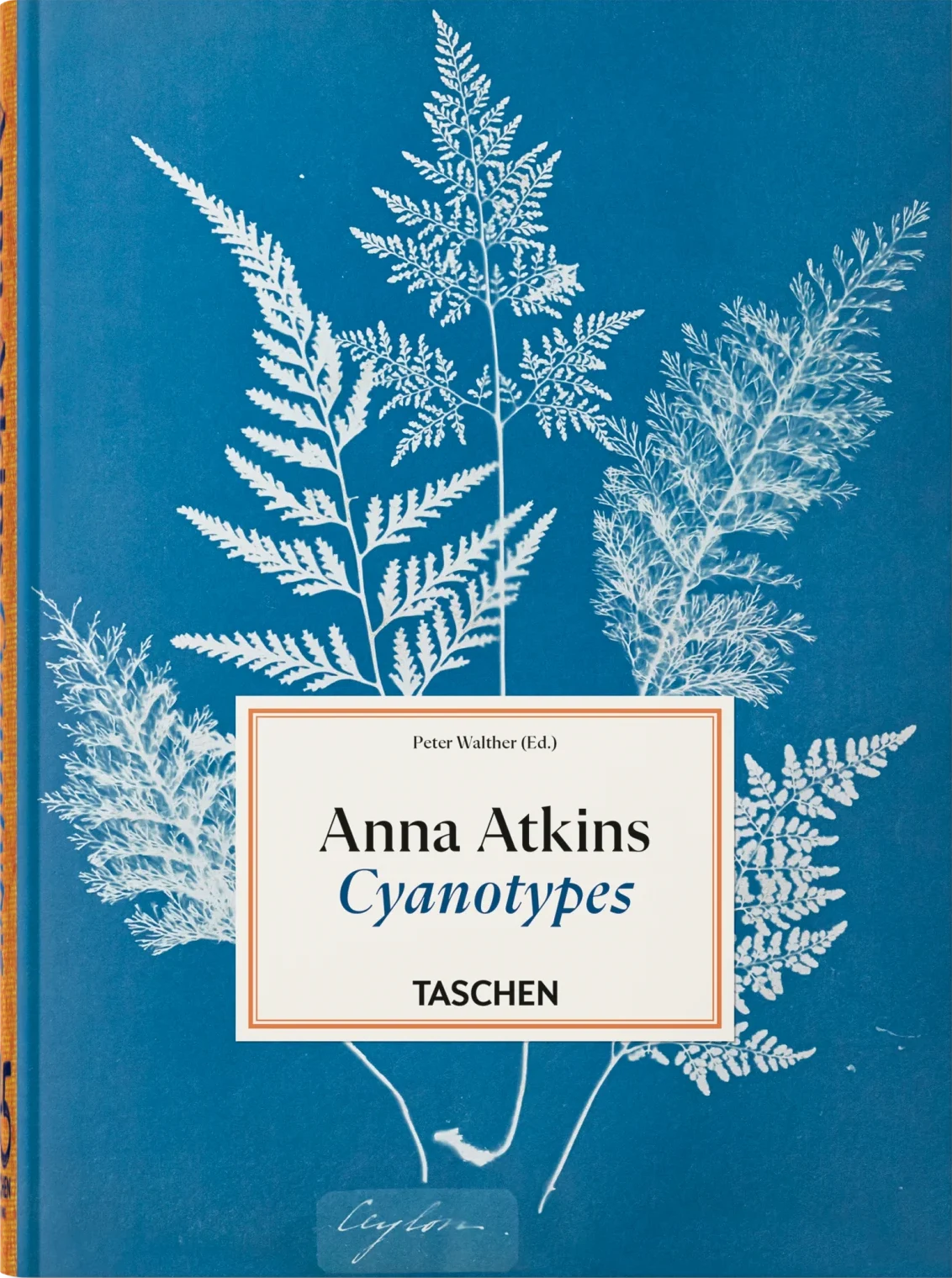 Anna Atkins: Cyanotypes