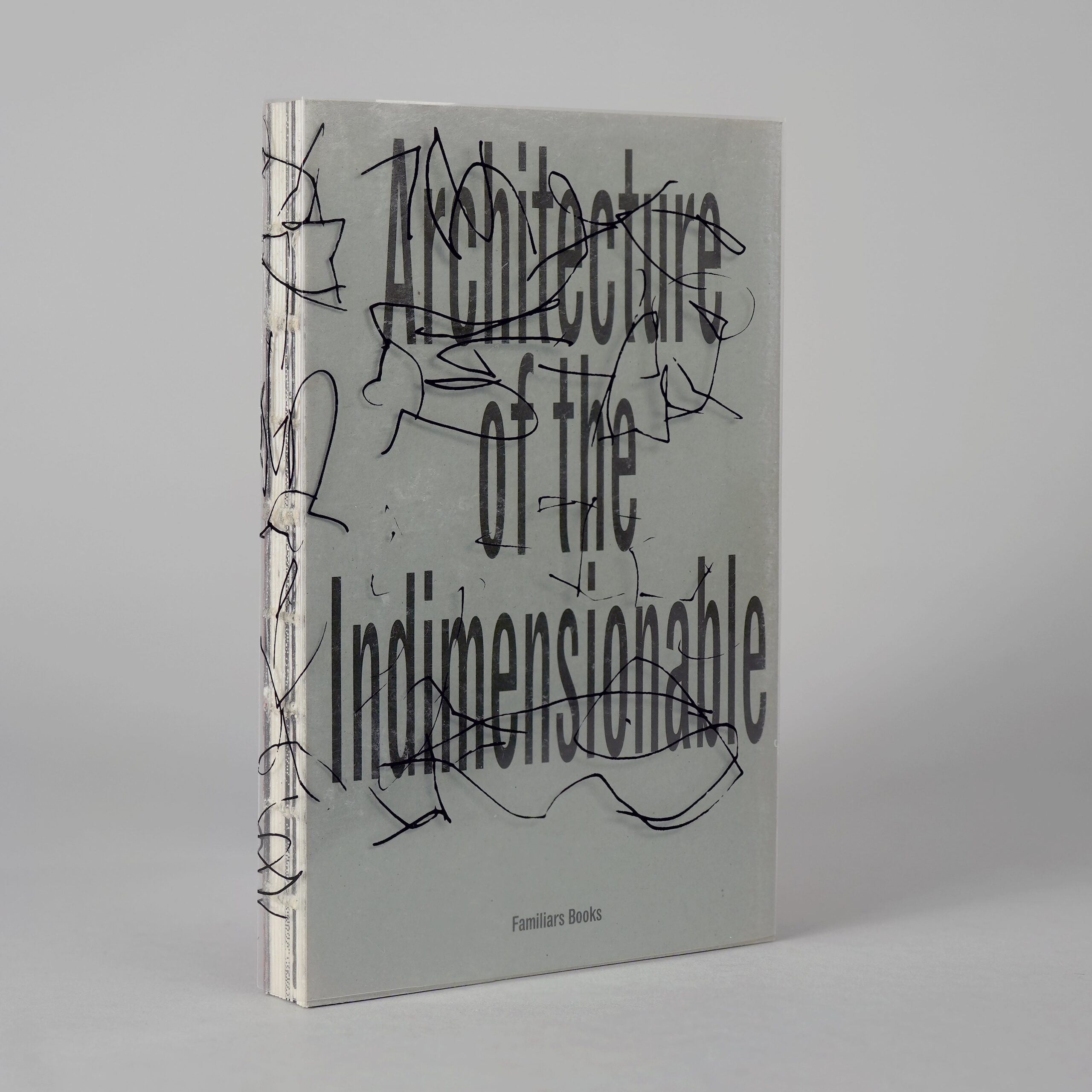 Architecture of the Indimensionable