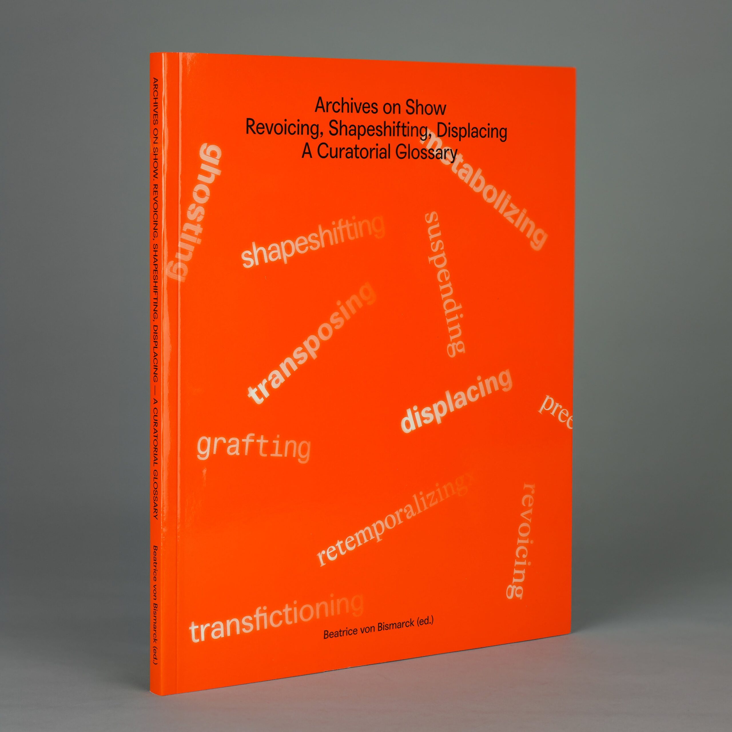 Archives on Show: Revoicing, Shapeshifting, Displacing – A Curatorial Glossary