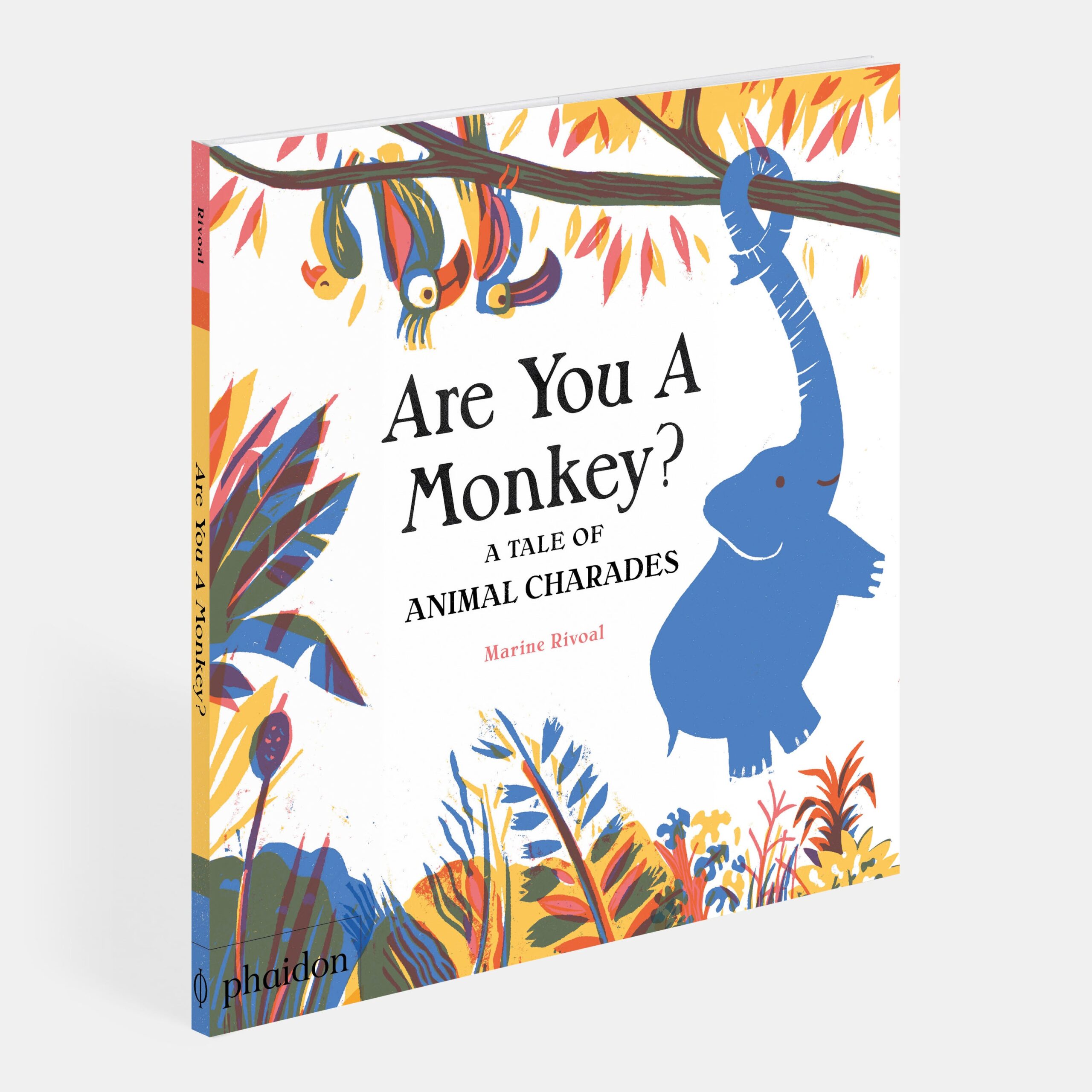 Are You a Monkey?: A Tale of Animal Charades