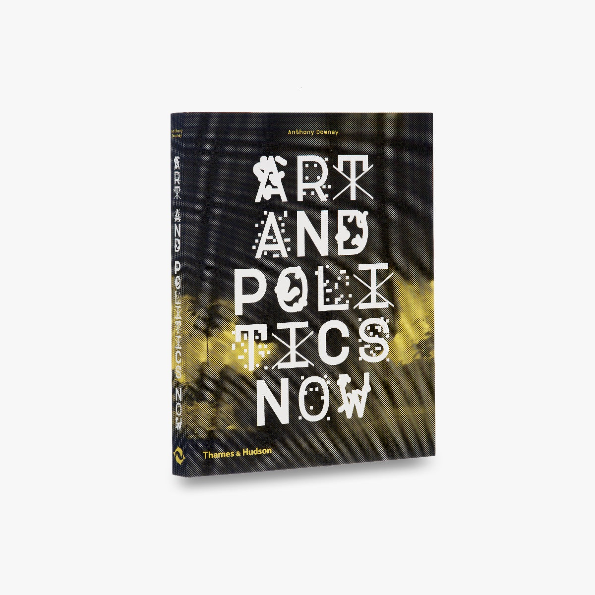 Art and Politics Now