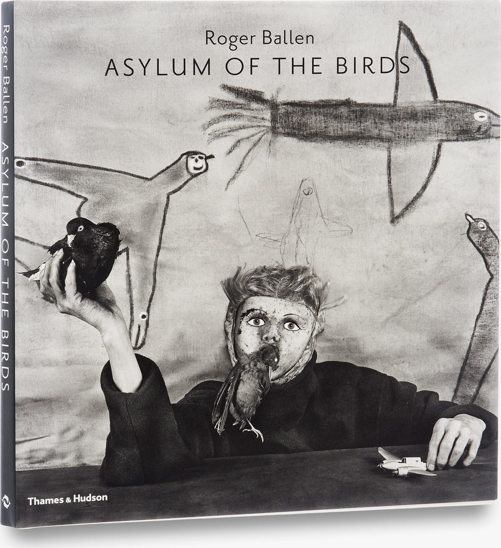 Asylum of the Birds