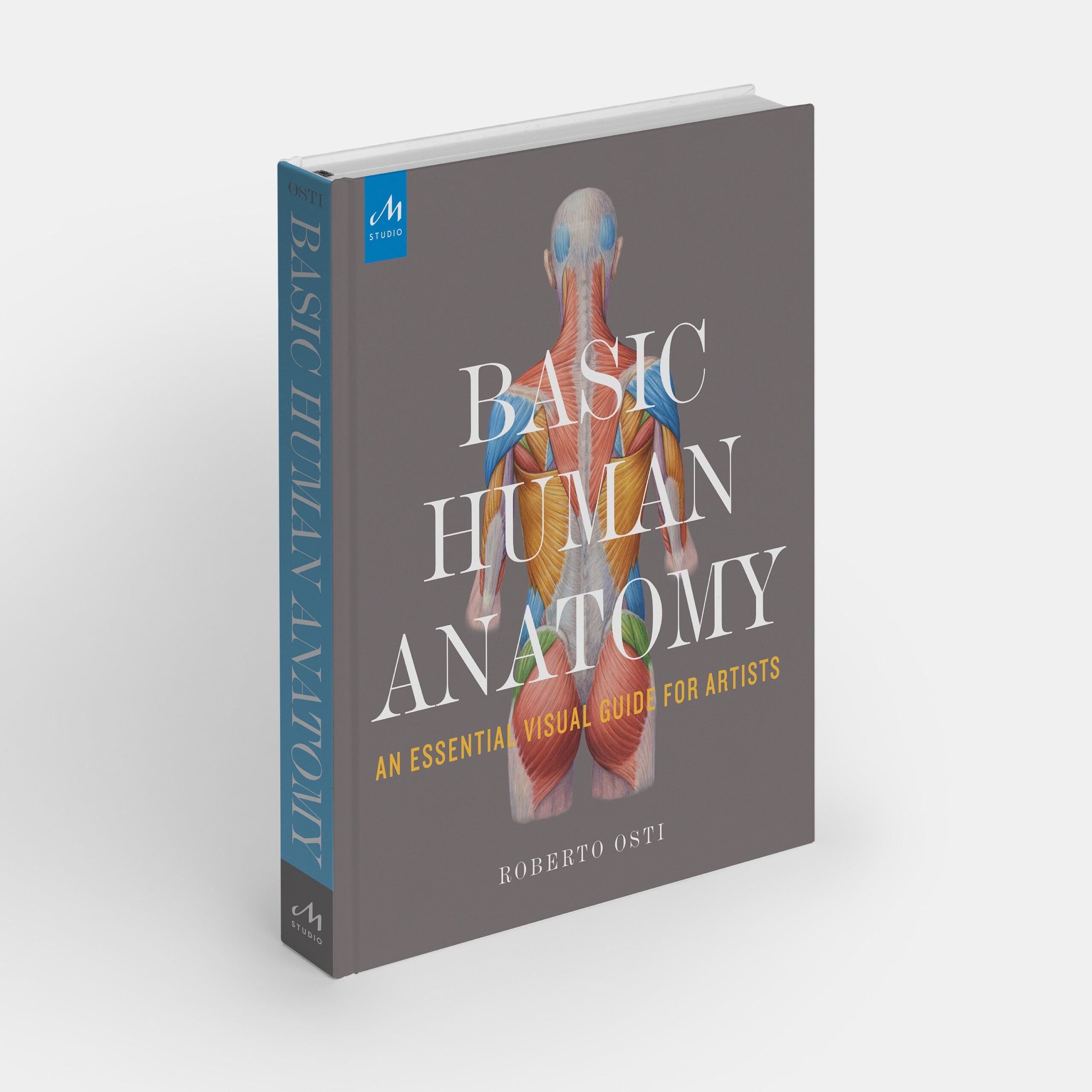 Basic Human Anatomy: An Essential Visual Guide for Artists cover