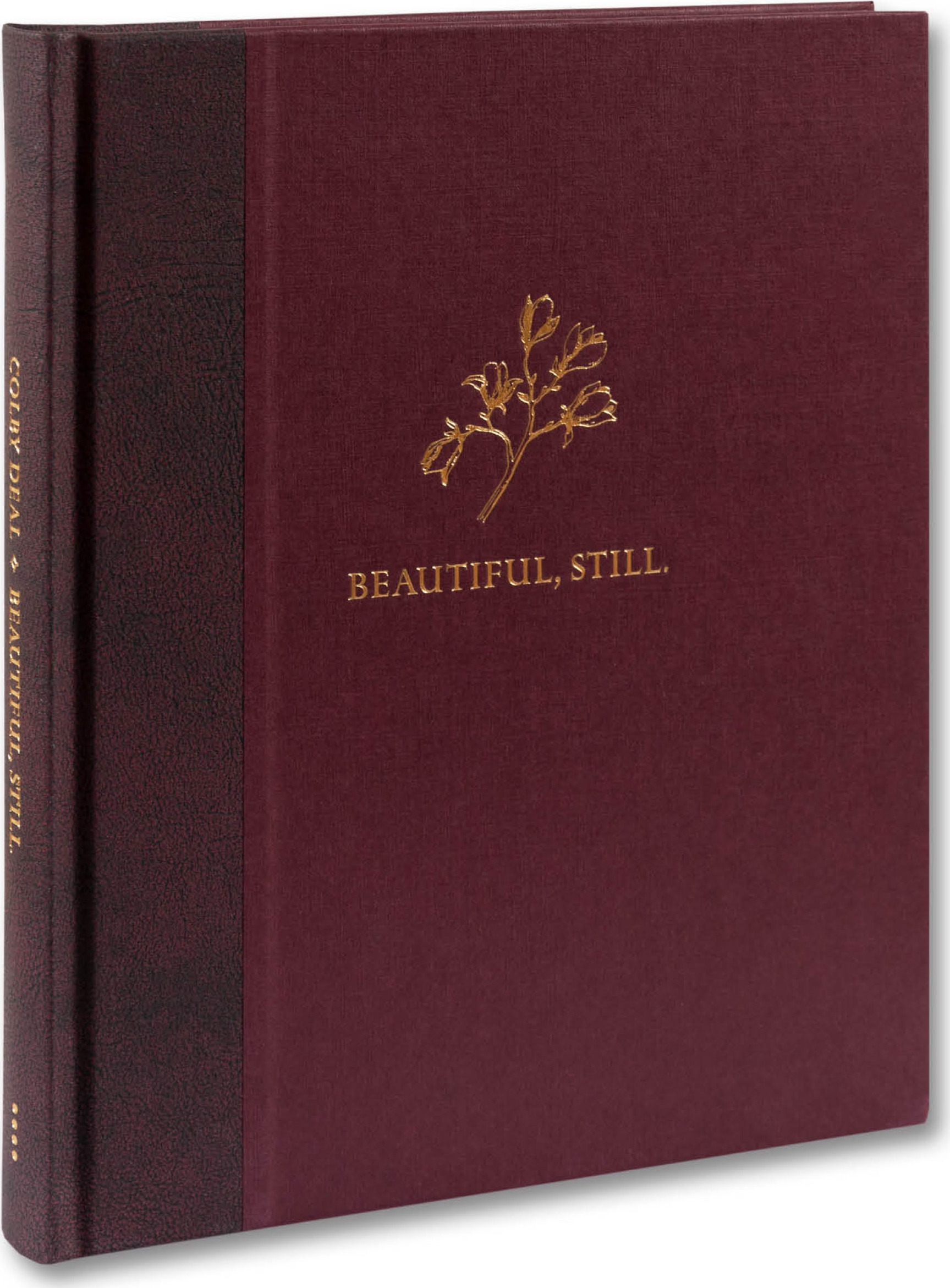 Beautiful, Still.