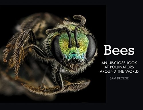 Bees: An Up-Close Look at Pollinators Around the World cover
