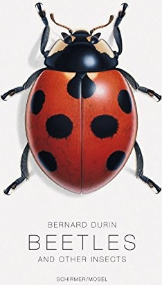 Beetles: And Other Insects (Expanded) cover