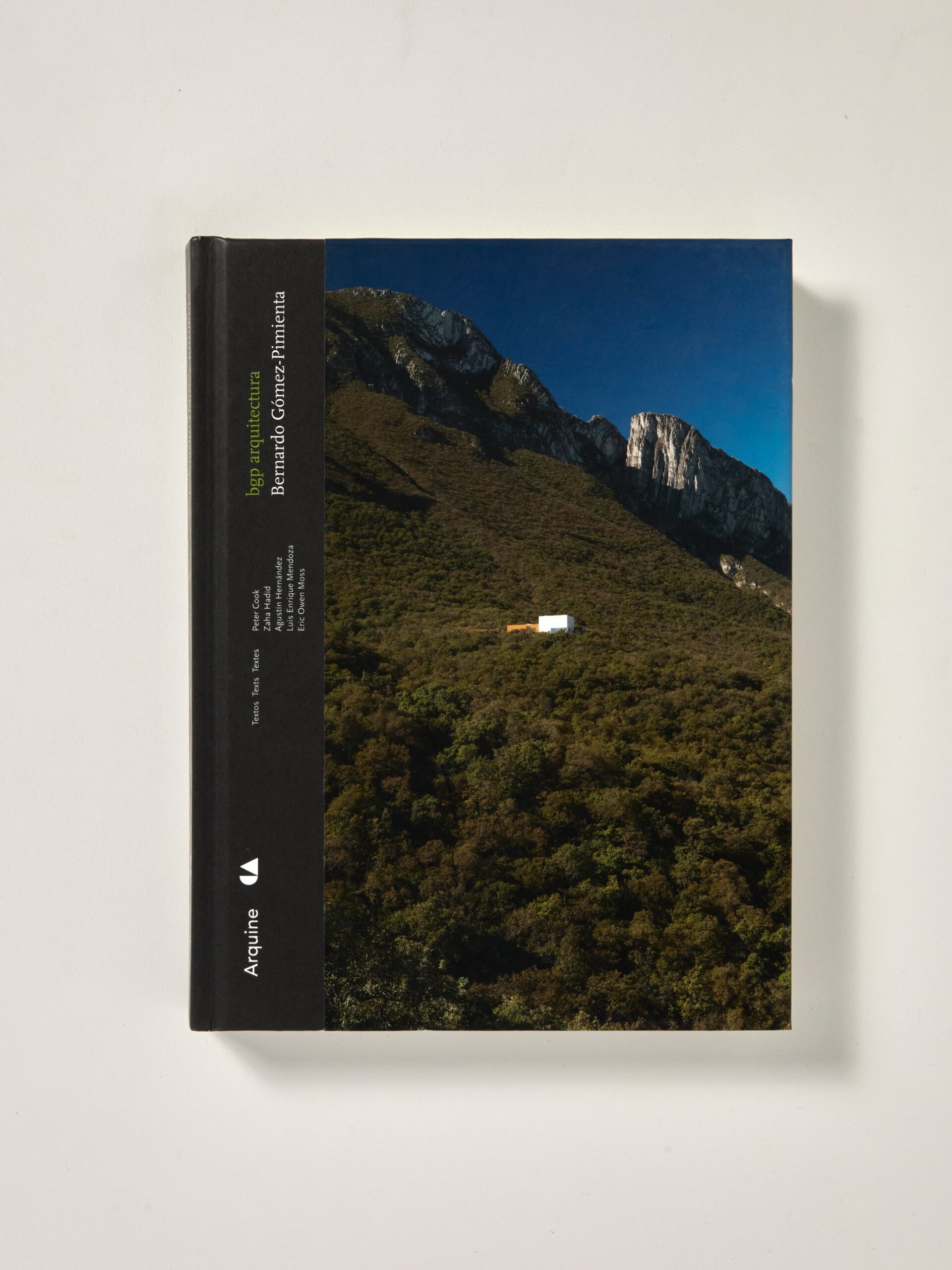 Bernardo Gomez-Pimienta: BGP Arquitectura 2011 (English and Spanish Edition)