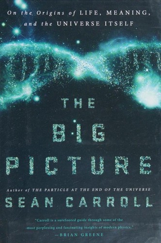 Big Picture: On the Origins of Life, Meaning, and the Universe Itself cover