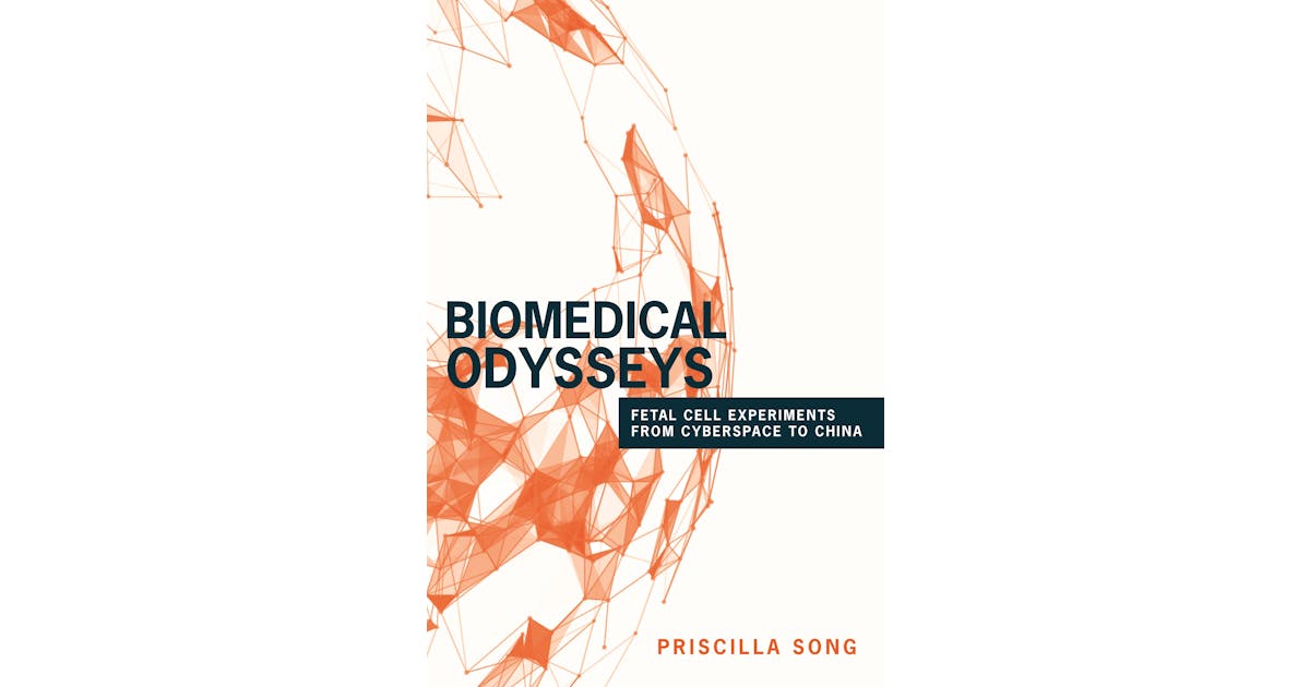 Biomedical Odysseys: Fetal Cell Experiments from Cyberspace to China cover