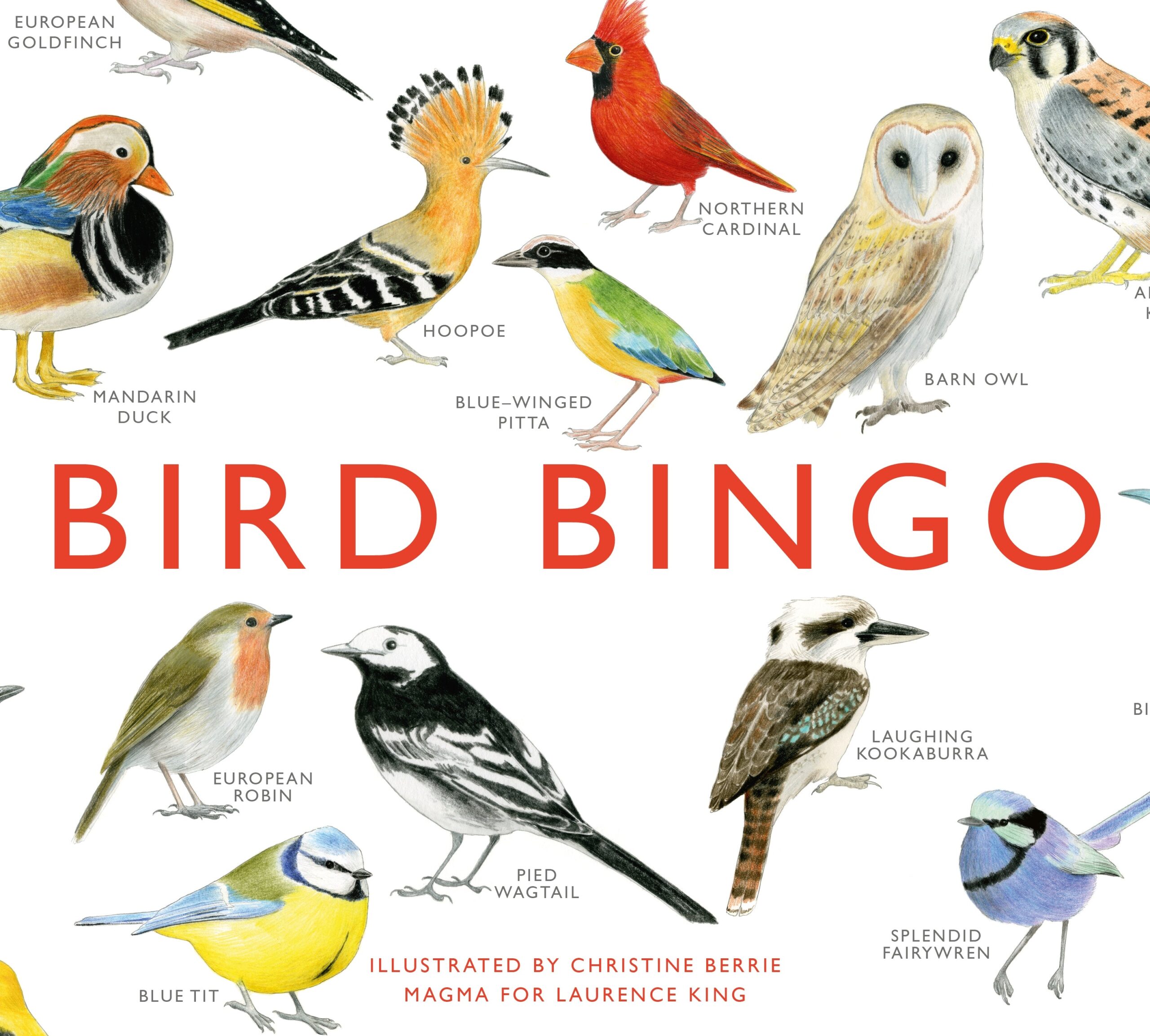 Bird Bingo