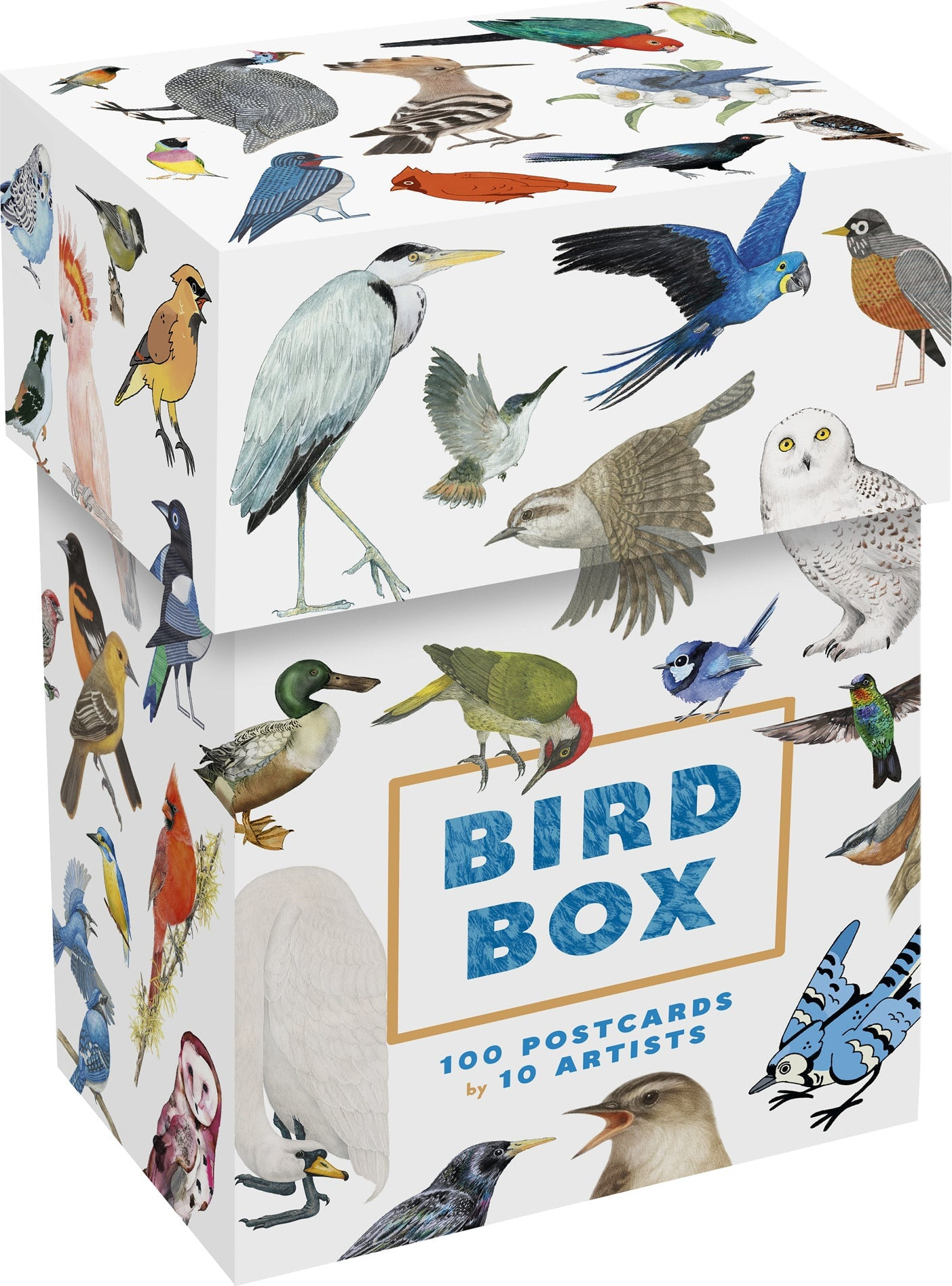 Bird Box: 100 Postcards by 10 Artists