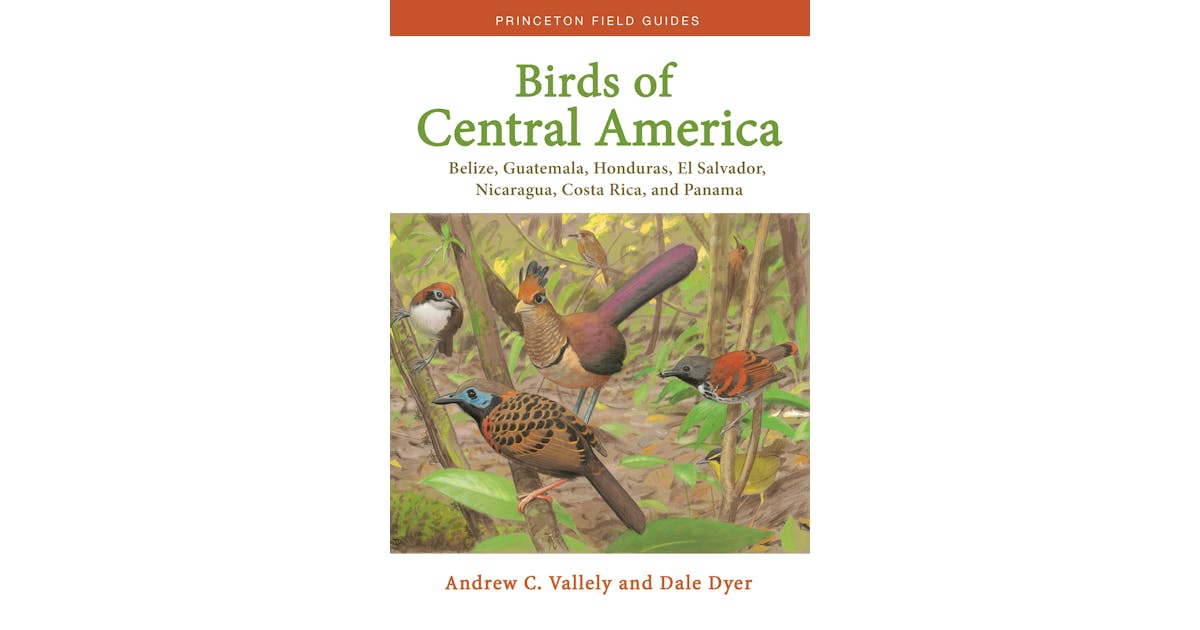 Birds of Central America: Belize, Guatemala, Honduras, El Salvador, Nicaragua, Costa Rica, and Panama cover