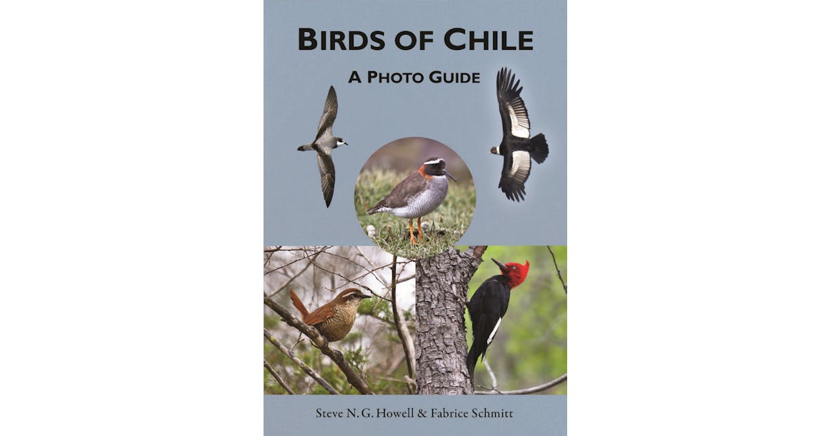 Birds of Chile: A Photo Guide cover