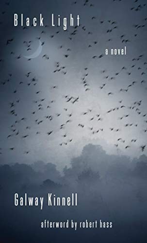 Black Light: A Novel cover