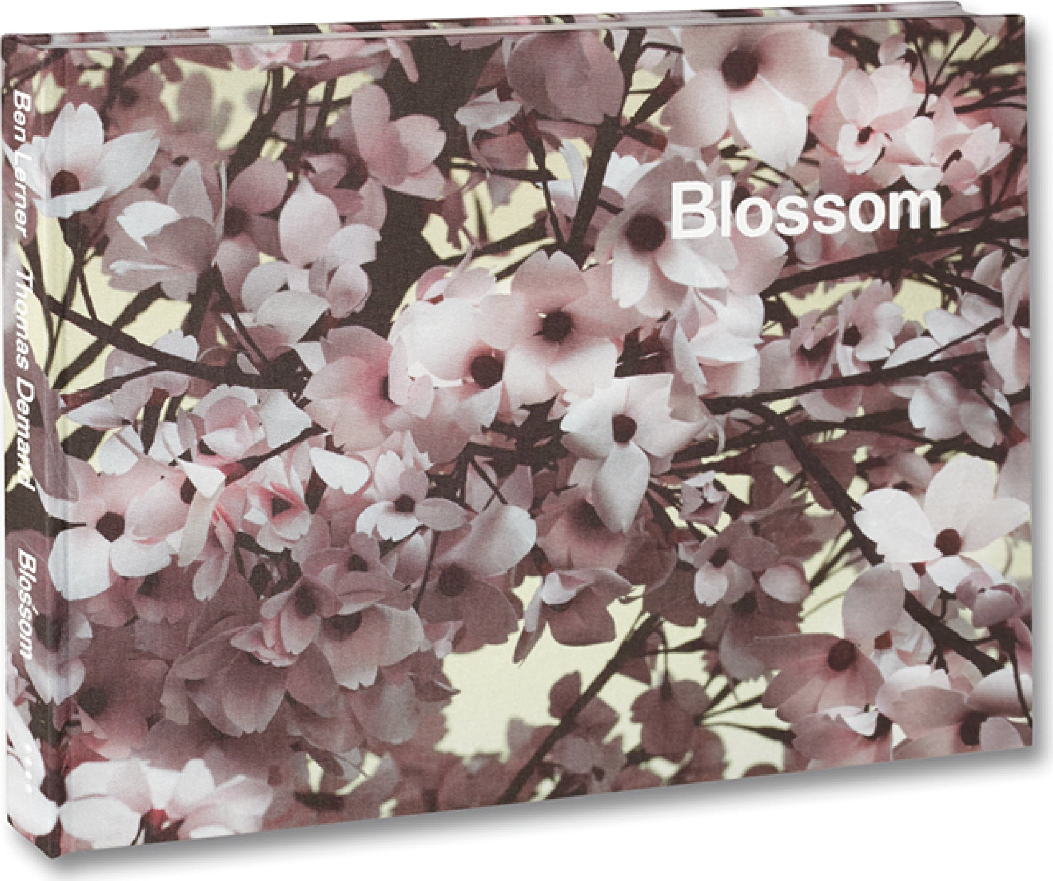 Blossom