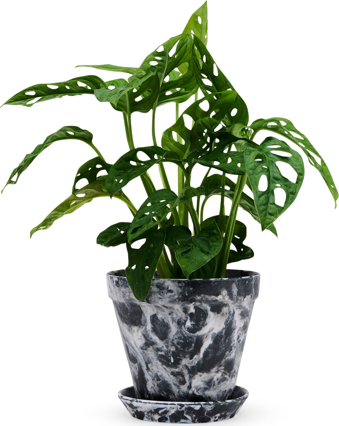 Blumen Marbled Planter and Saucer Set – Black/White