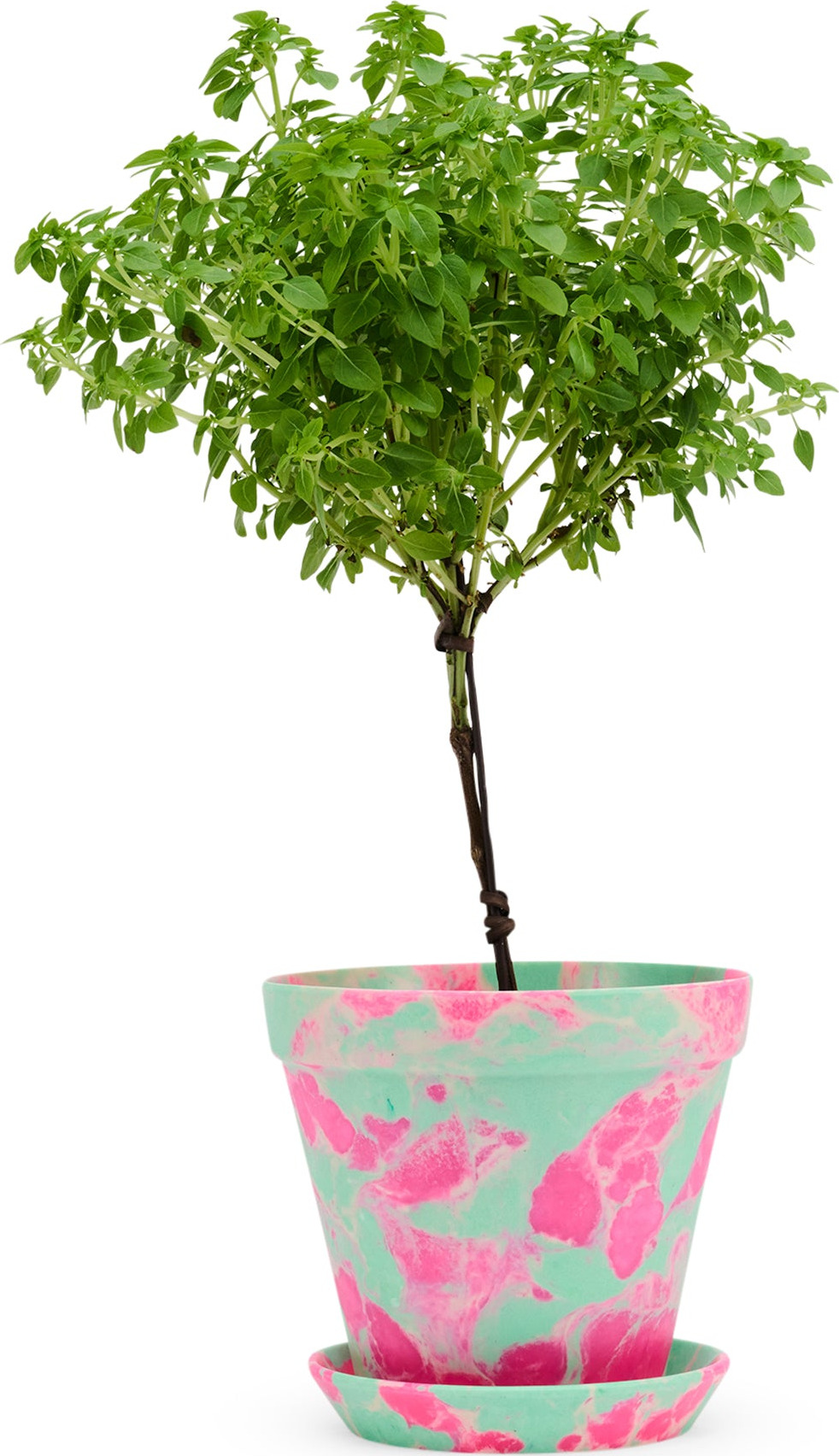 Blumen Marbled Planter and Saucer Set – Pink/ Green