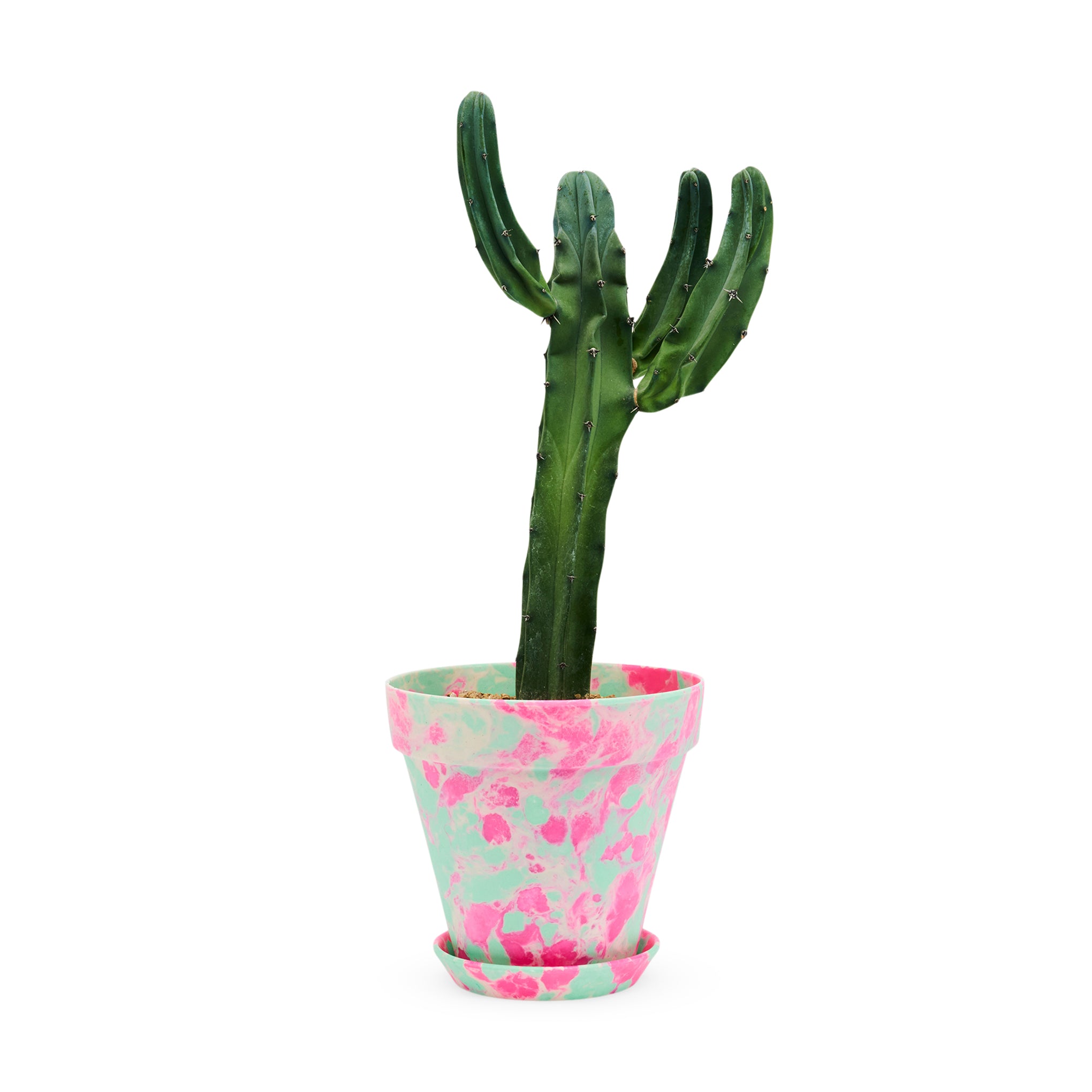 Blumen Marbled Planter and Saucer Set – Pink/Green